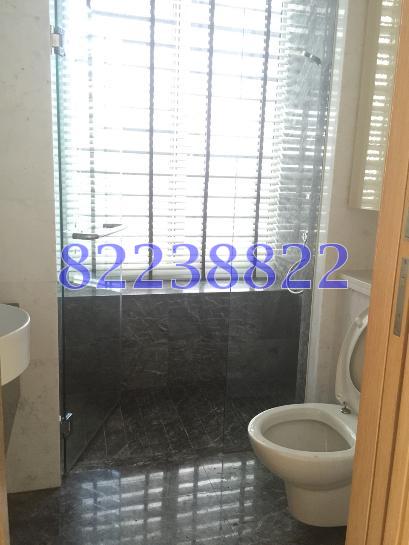 The Solitaire (D10), Condominium #62328792